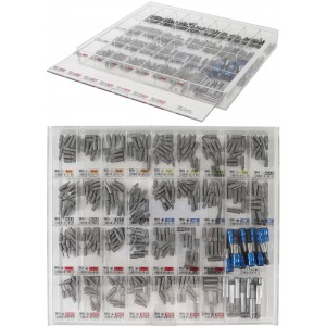 Conjunto de suportes de pontas e pontas | Expositor de vendas | Entrada de sextavado externo 6,3 mm (1/4") | 340 peças Conjunto de suportes de pontas e pontas | Expositor de vendas | Entrada de sextavado externo 6,3 mm (1/4") | 340 peças